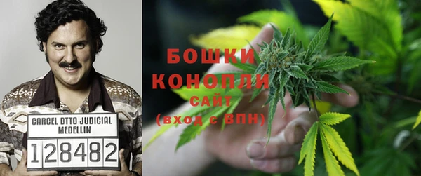 тгк Балахна
