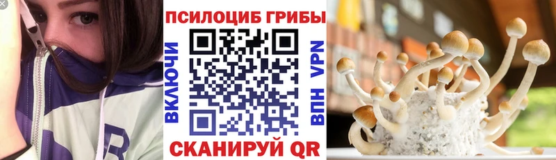 нарко площадка клад  hydra ТОР  Заозёрный  купить наркоту  Псилоцибиновые грибы мухоморы 